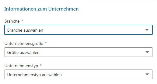 LinkedIn-Information-zum-Unternehmen